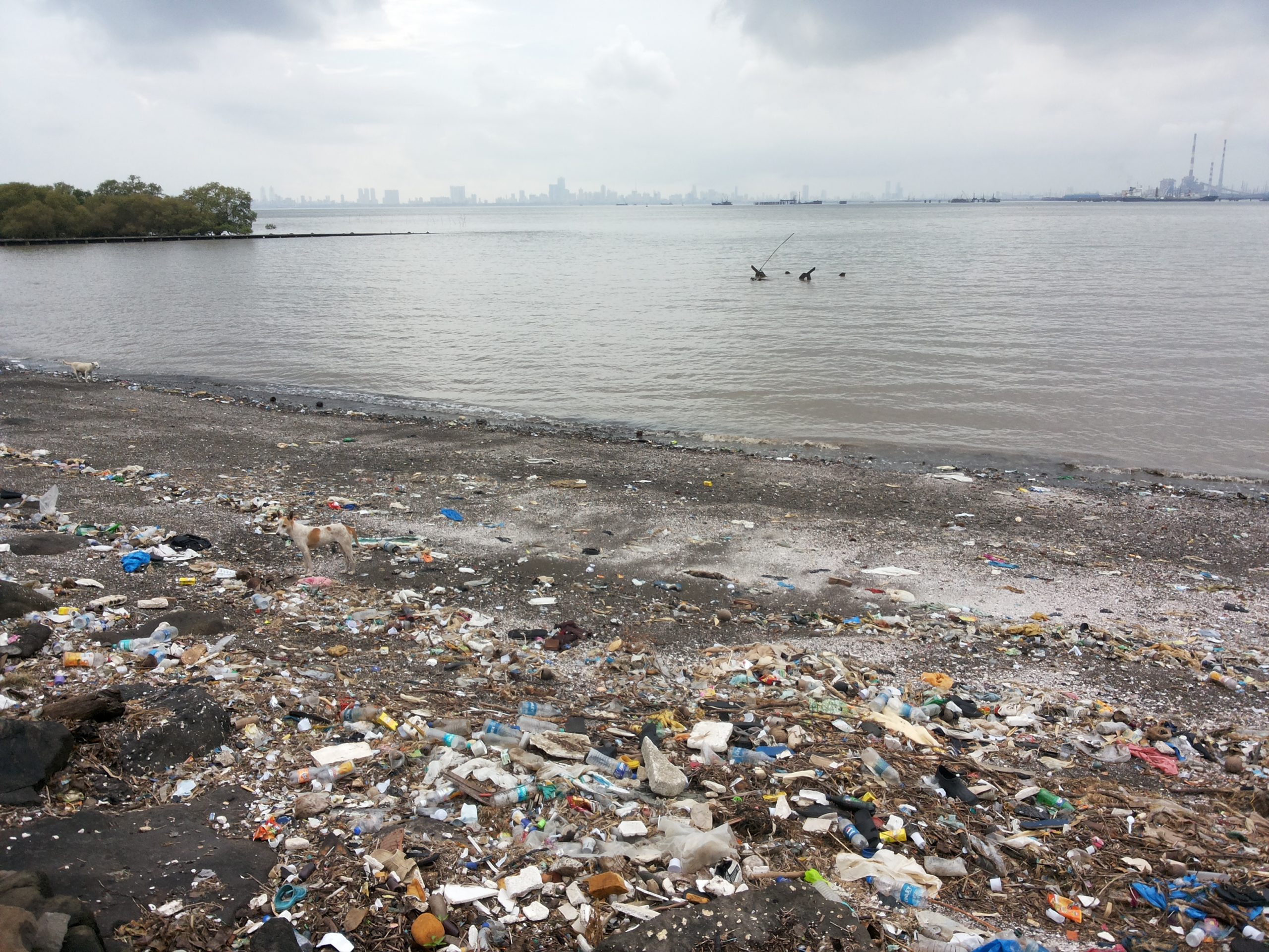 case study on water pollution in mumbai