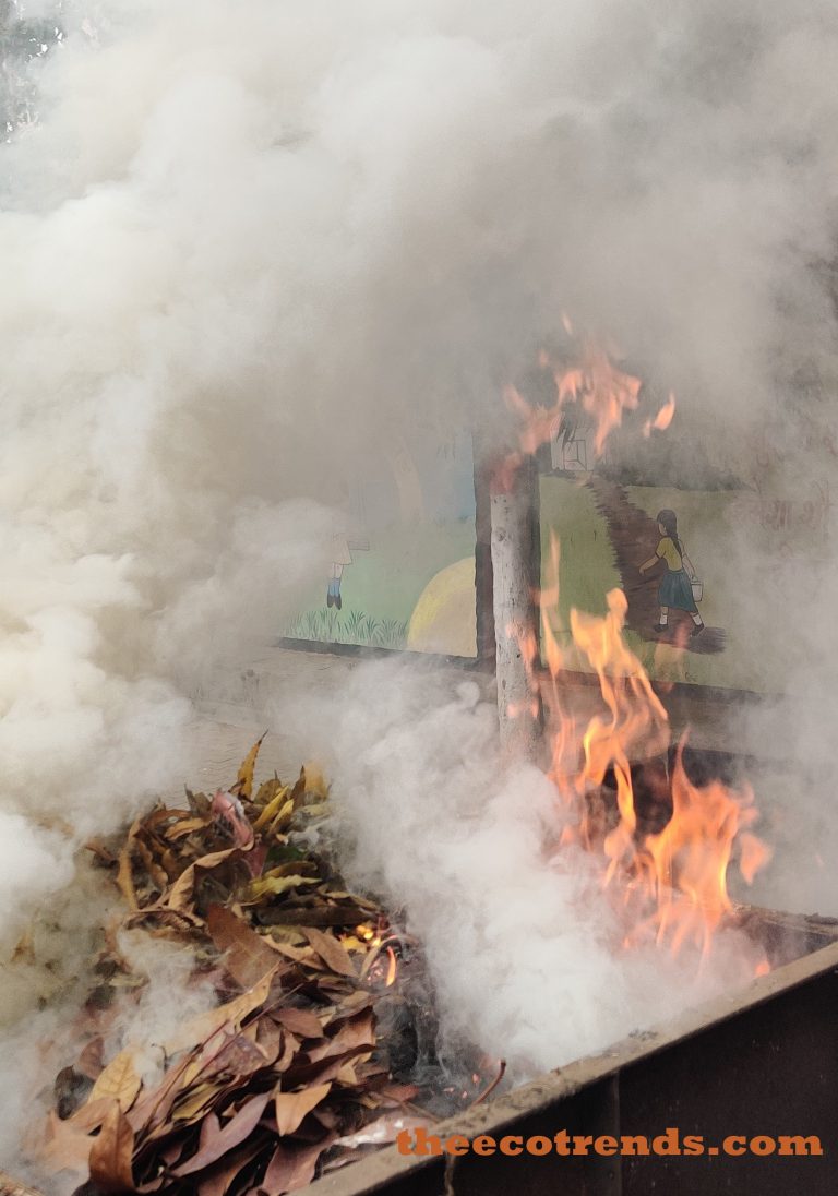 Smoke comming up from burning dry leaves