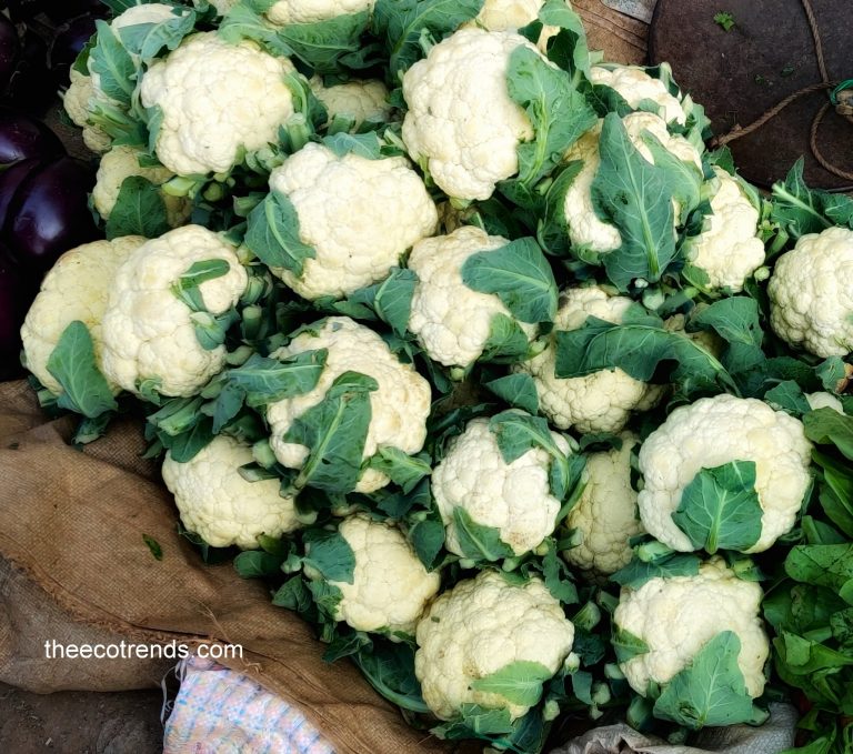 Cawliflowers kept in a basket