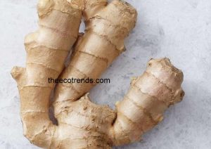 Ginger is a good spice. It is very good for health.