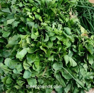 Spinach is called as Palak in Hindi