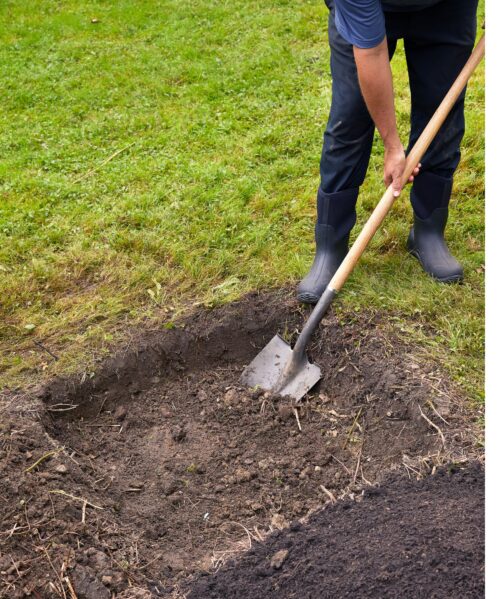 Making Compost for Better Health of the Soil The Ecotrends