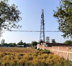 mobile tower a high risk against sparrows