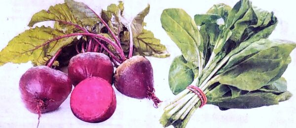 Beet root and spinach