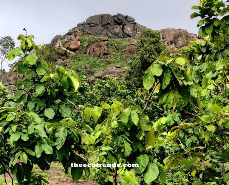 Breaking of mountains