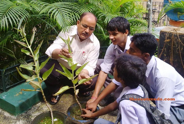 The techer showing buds on leaf margins of Bryophyllum to students