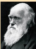 Image of Darwin