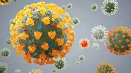 corona viruses