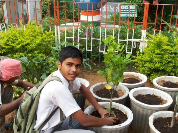 boy planting in a pot