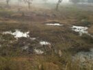 waste land with grass and waste