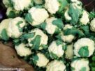 Genetically engineered vegetable